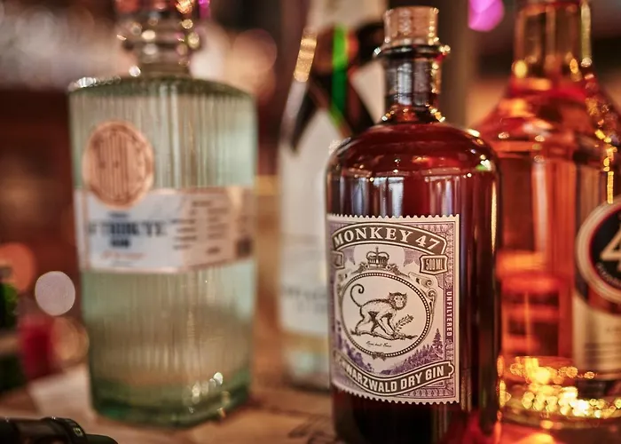 宾馆 Berglift Direkt An Der Talstation 3*